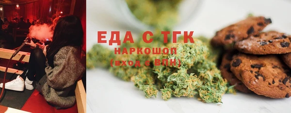 крисы Горняк