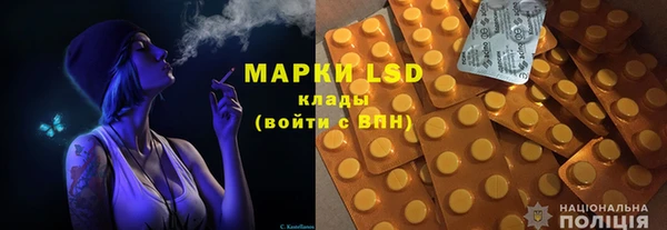 крисы Горняк