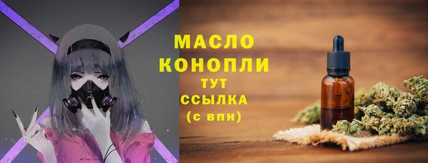 крисы Горняк
