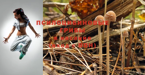 MESCALINE Горнозаводск