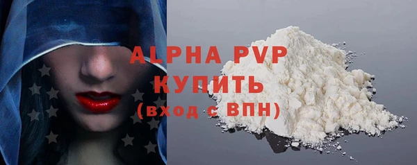 крисы Горняк