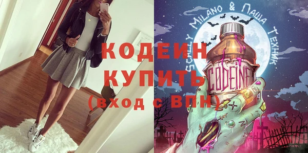 крисы Горняк
