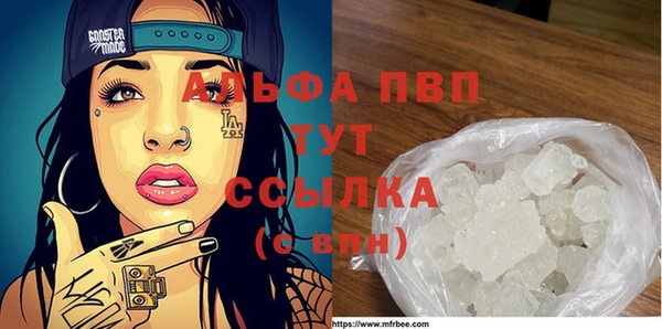 крисы Горняк