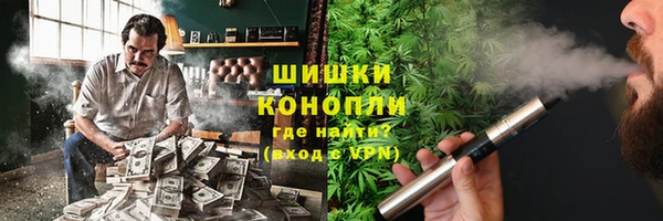 крисы Горняк