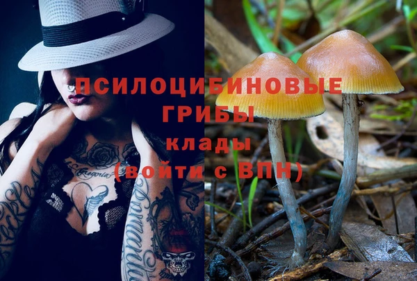 каннабис Горно-Алтайск