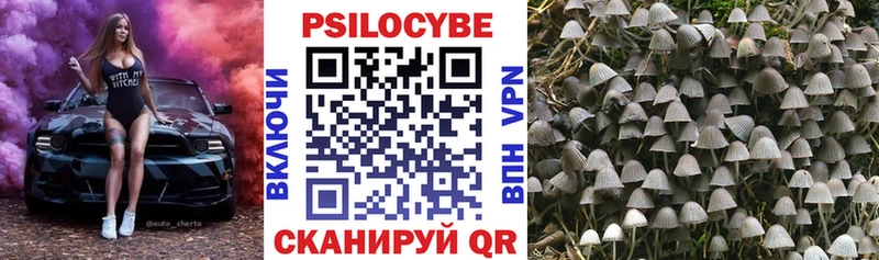 Купить  Ревда  Галлюциногенные грибы MAGIC MUSHROOMS 